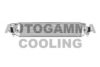 AUTOGAMMA 105471 Intercooler, charger